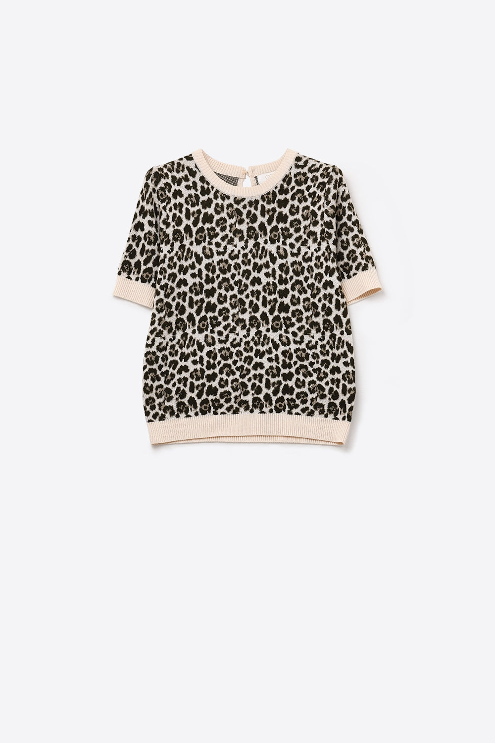 Chic Short Sleeve Leopard Print Sweater