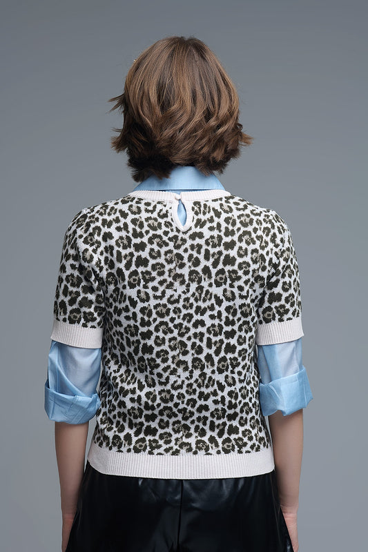 Chic Short Sleeve Leopard Print Sweater