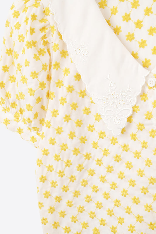 crop blouse with a baby collar and embroidered flowers