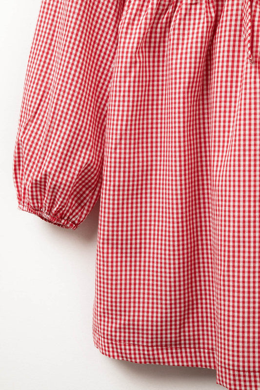 Gingham Tie-Front Mini Dress in Red