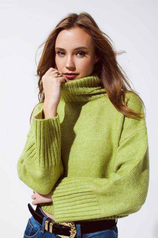 Q2 Cropped Chunky Knit Sweater With Turtle Neck in Green