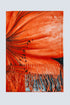 orange flower print scarf Szua Store